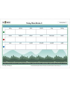 Activity Mat 17: Trick Word Bricks 3
